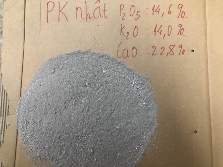 phan-pk-nhat-ban-tro-ga