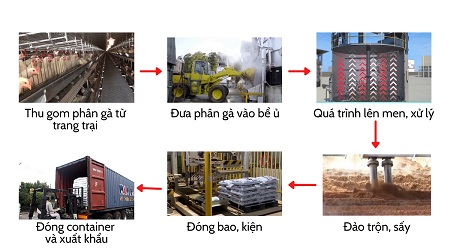 quy-trinh-san-xuat-phan-ga-huu-co-bot-nhat-ban-450x252