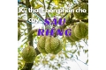 Kỹ thuật bón phân hữu cơ cho cây sầu riêng