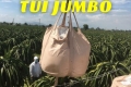 Phân hữu cơ Nhật túi Jumbo cho cây Thanh Long