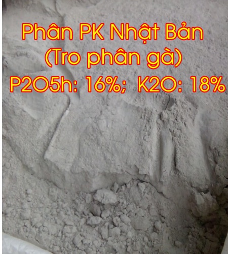 Phân bón PK Nhật Bản (Phân tro gà)